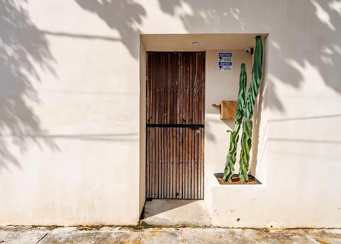Casa Jicama